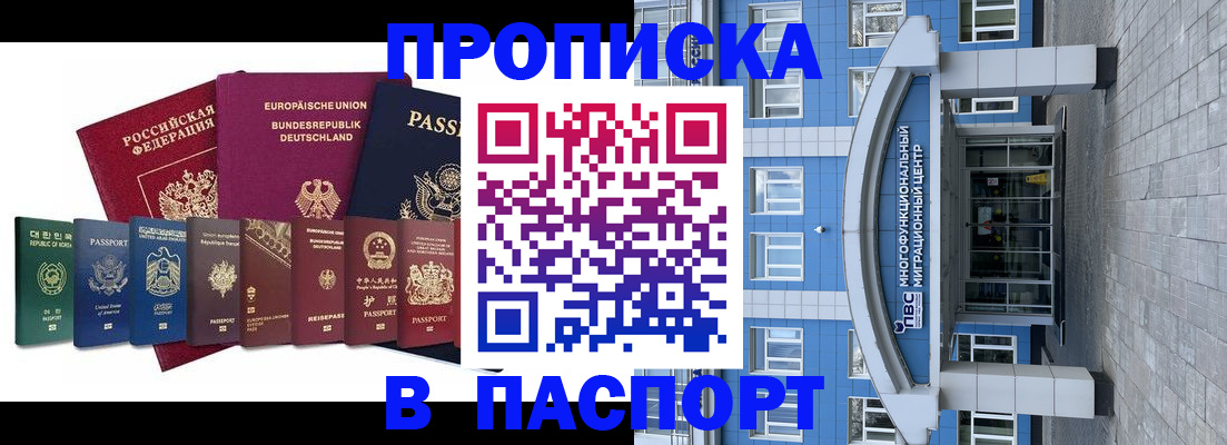прописка штамп в Палласовке